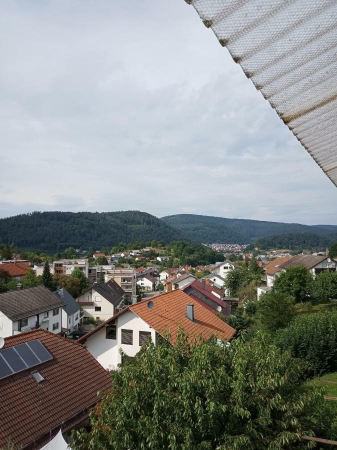 Natur Und Aussicht Eberbach (Rhein-Neckar-Kreis) Exterior foto